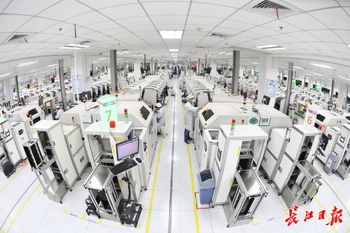 智高點，智造未來——解碼武漢智能工廠與人工智能雙創服務平臺